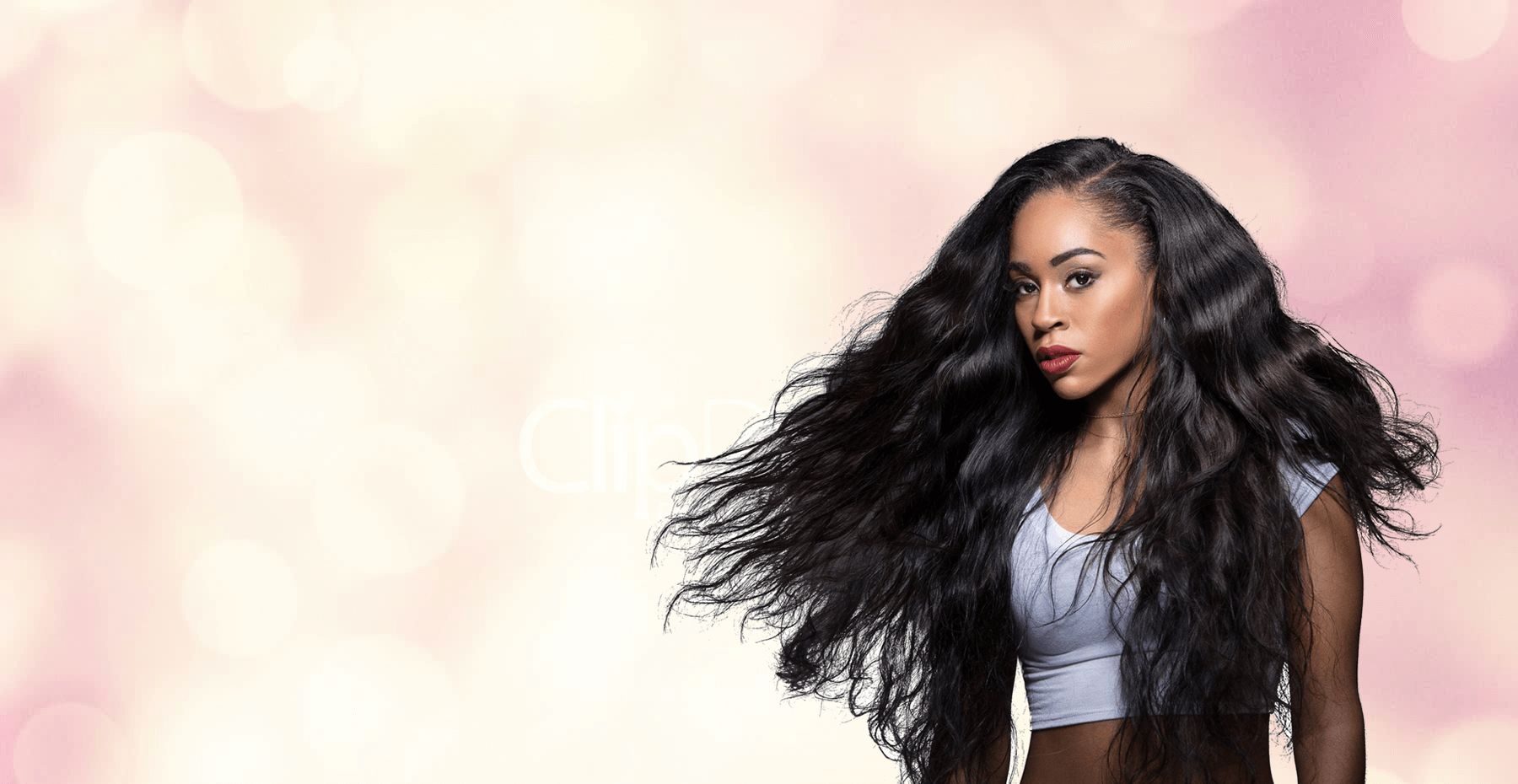 banner image3